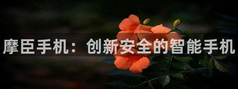 赢乐彩票体育平台开号链接：摩臣手机：创新安全的智能手机