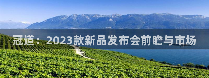成都赢乐彩票电子有限公司：冠道：2023款新品发布会前瞻与市场