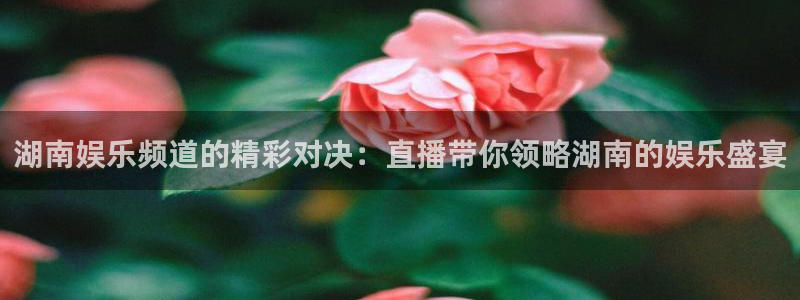 赢乐彩票体育：湖南娱乐频道的精彩对决：直播带你领略湖南的娱乐盛宴