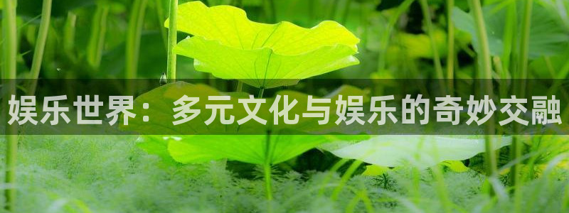 赢乐彩票环保：娱乐世界：多元文化与娱乐的奇妙交融