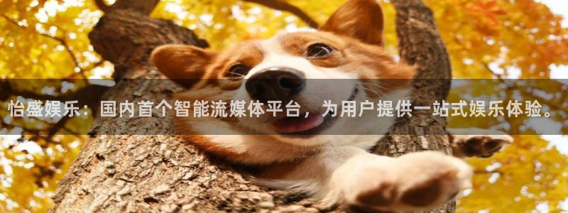 赢乐彩票平台开户链接：怡盛娱乐：国内首个智能流媒体平台，为用户提供一站式娱乐体验