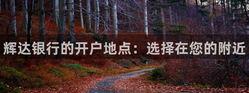 赢乐彩票体育代理申请流程：辉达银行的开户地点：选择在您的附近