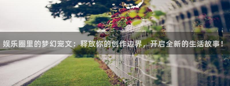 赢乐彩票3登录：娱乐圈里的梦幻宠文：释放你的创作边界，开启全新的生活故事！