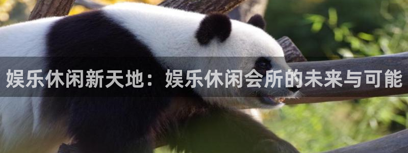 赢乐彩票主管：娱乐休闲新天地：娱乐休闲会所的未来与可能