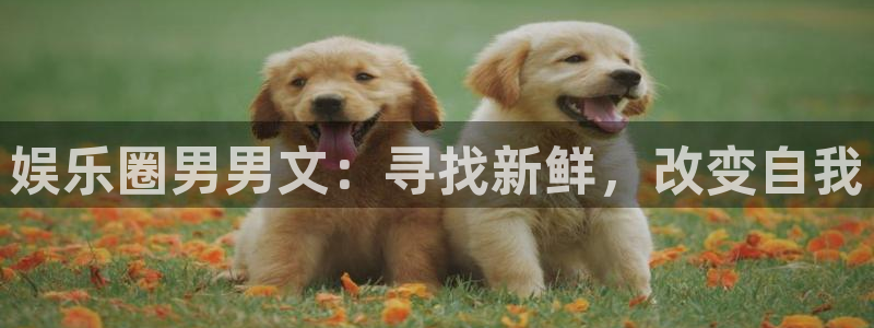 赢乐彩票4