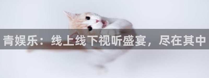 www.赢乐彩票体育.com
