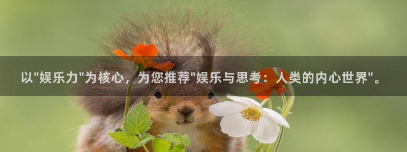 赢乐彩票体育网页版入口