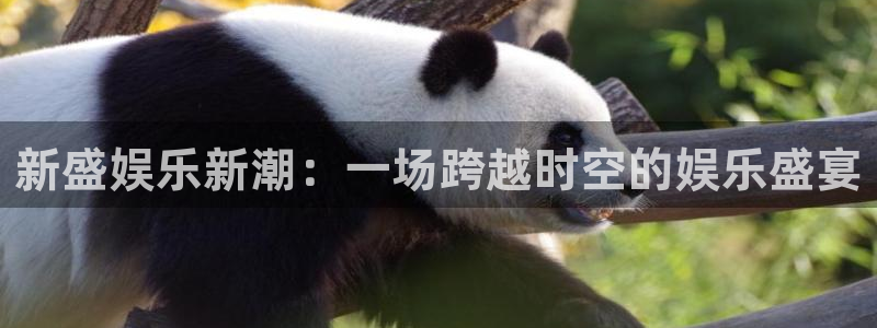 赢乐彩票体育2官网入口