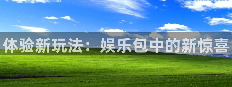 赢乐彩票3登录：体验新玩法：娱乐包中的新惊喜