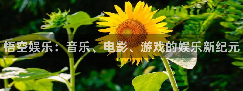 赢乐彩票5注册：悟空娱乐：音乐、电影、游戏的娱乐新纪元