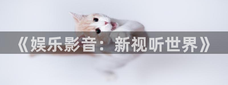 赢乐彩票体育凯捷平台主管：《娱乐影音：新视听世界》