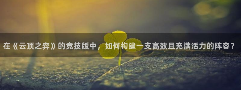 赢乐彩票体育热门赛事有哪些：在《云顶之弈》的竞技版中，如何构建一支高效且充满活力