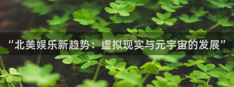 赢乐彩票体育1招商：“北美娱乐新趋势：虚拟现实与元宇宙的发展”