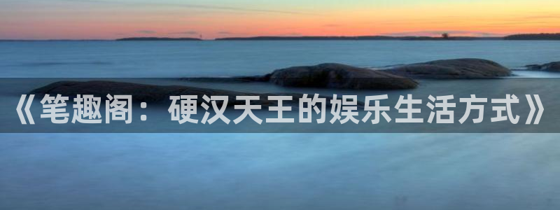 赢乐彩票体育平台登录入口：《笔趣阁：硬汉天王的娱乐生活方式》