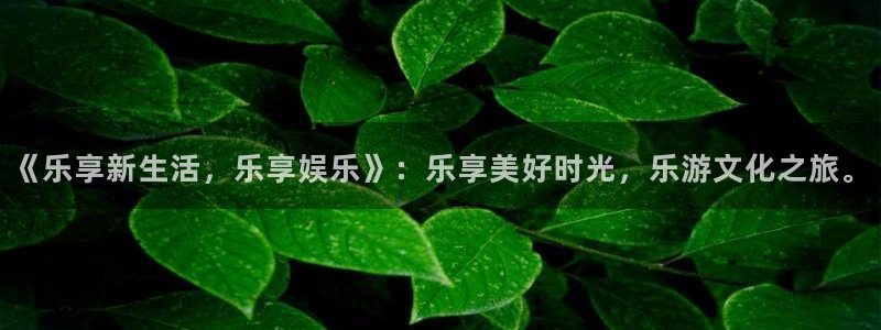 赢乐彩票登录注册：《乐享新生活，乐享娱乐》：乐享美好时光，乐游文化之旅。