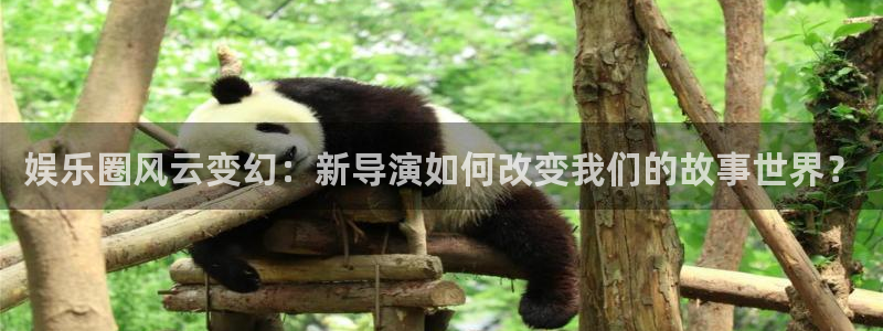 赢乐彩票注册：娱乐圈风云变幻：新导演如何改变我们的故事世界？
