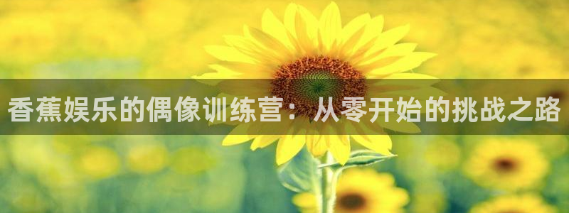 赢乐彩票体育用品：香蕉娱乐的偶像训练营：从零开始的挑战之路