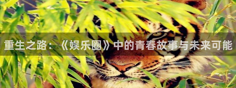 赢乐彩票零能源集团：重生之路：《娱乐圈》中的青春故事与未来可能