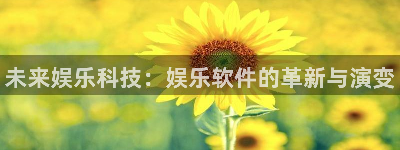 赢乐彩票f凯捷注册：未来娱乐科技：娱乐软件的革新与演变